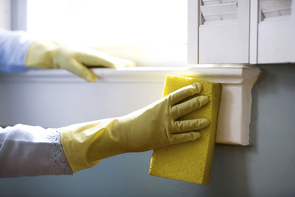 Crucial Tips to Clean Your Kitchen
